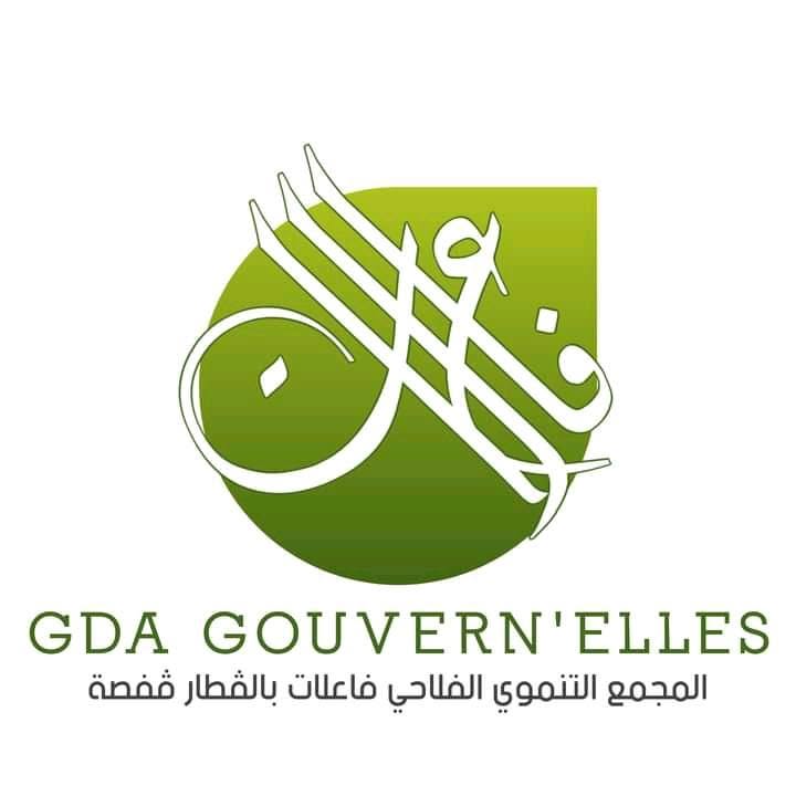 GDA Gouvern'elles - Projet à impact en Tunisie